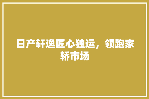 日产轩逸匠心独运，领跑家轿市场