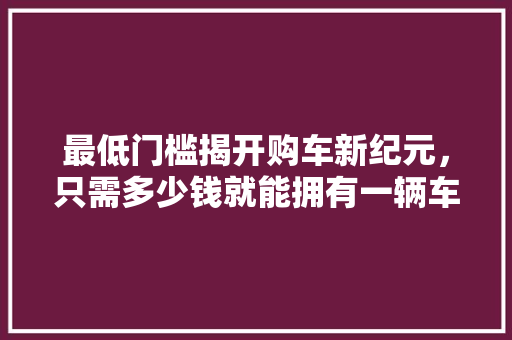 最低门槛揭开购车新纪元，只需多少钱就能拥有一辆车