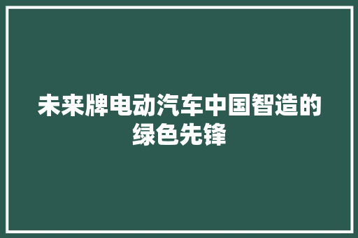 未来牌电动汽车中国智造的绿色先锋