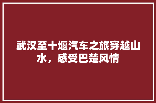 武汉至十堰汽车之旅穿越山水，感受巴楚风情