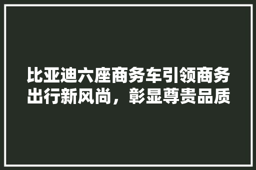 比亚迪六座商务车引领商务出行新风尚，彰显尊贵品质 汽车常识