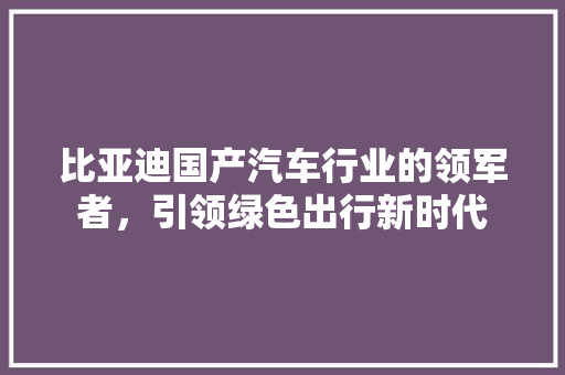 比亚迪国产汽车行业的领军者，引领绿色出行新时代