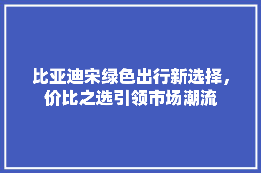 比亚迪宋绿色出行新选择，价比之选引领市场潮流