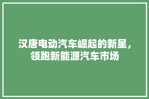 汉唐电动汽车崛起的新星，领跑新能源汽车市场