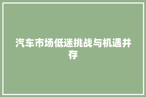 汽车市场低迷挑战与机遇并存
