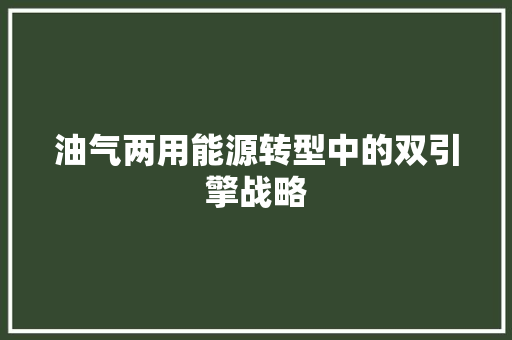 油气两用能源转型中的双引擎战略