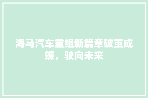 海马汽车重组新篇章破茧成蝶，驶向未来