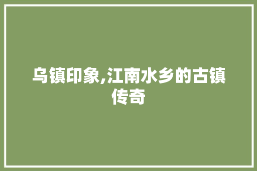 乌镇印象,江南水乡的古镇传奇 手机电脑