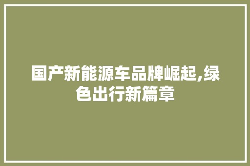 国产新能源车品牌崛起,绿色出行新篇章 汽车常识