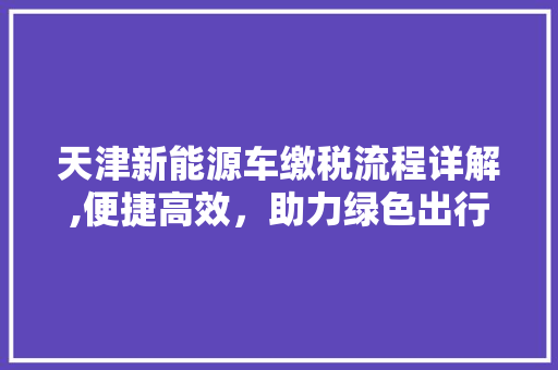 天津新能源车缴税流程详解,便捷高效，助力绿色出行