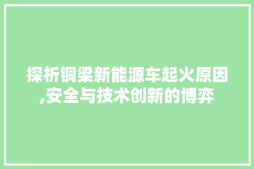 探析铜梁新能源车起火原因,安全与技术创新的博弈