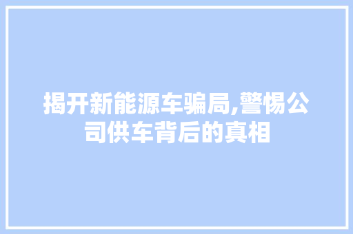 揭开新能源车骗局,警惕公司供车背后的真相