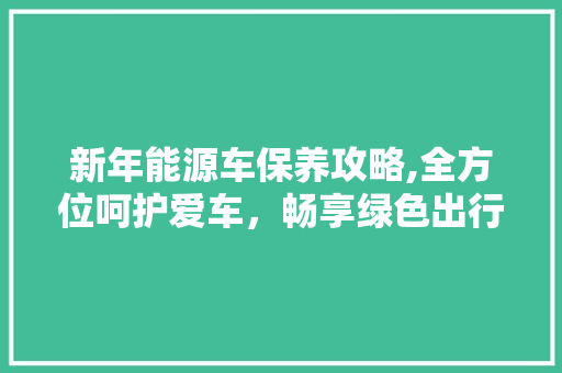 新年能源车保养攻略,全方位呵护爱车，畅享绿色出行