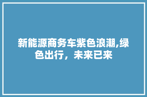 新能源商务车紫色浪潮,绿色出行，未来已来