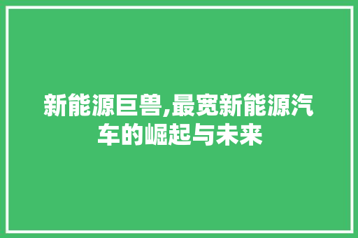 新能源巨兽,最宽新能源汽车的崛起与未来