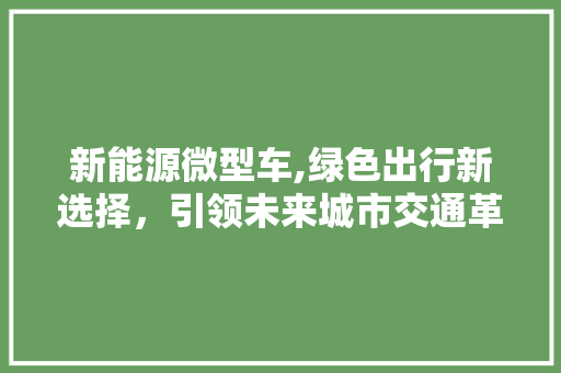 新能源微型车,绿色出行新选择，引领未来城市交通革命