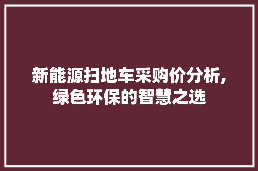 新能源扫地车采购价分析,绿色环保的智慧之选
