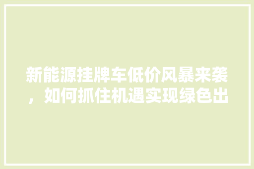 新能源挂牌车低价风暴来袭，如何抓住机遇实现绿色出行