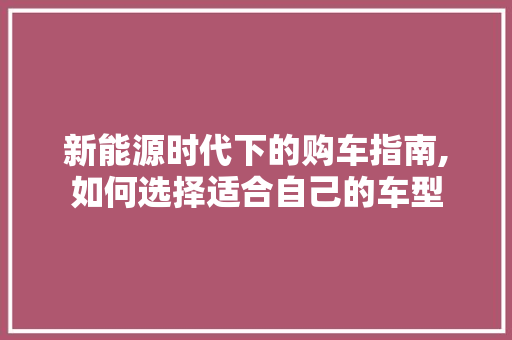 新能源时代下的购车指南,如何选择适合自己的车型