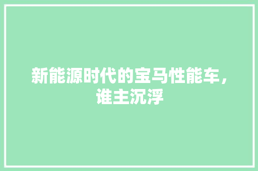 新能源时代的宝马性能车，谁主沉浮
