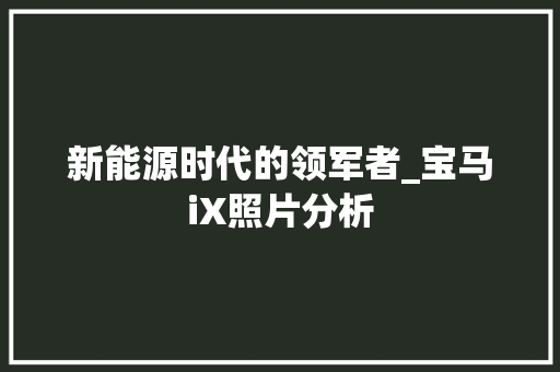 新能源时代的领军者_宝马iX照片分析