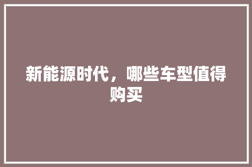 新能源时代，哪些车型值得购买 汽车常识