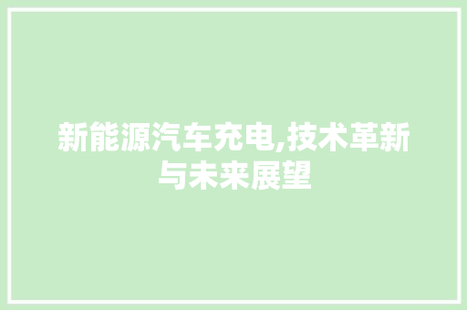 新能源汽车充电,技术革新与未来展望