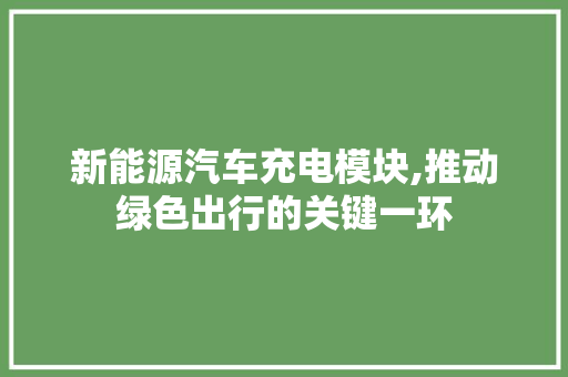 新能源汽车充电模块,推动绿色出行的关键一环