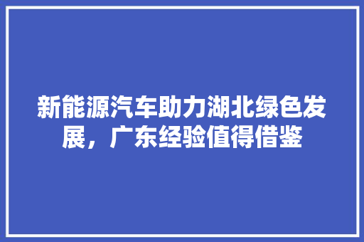 新能源汽车助力湖北绿色发展，广东经验值得借鉴
