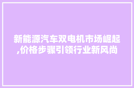 新能源汽车双电机市场崛起,价格步骤引领行业新风尚