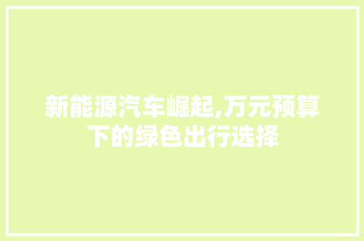 新能源汽车崛起,万元预算下的绿色出行选择 汽车常识