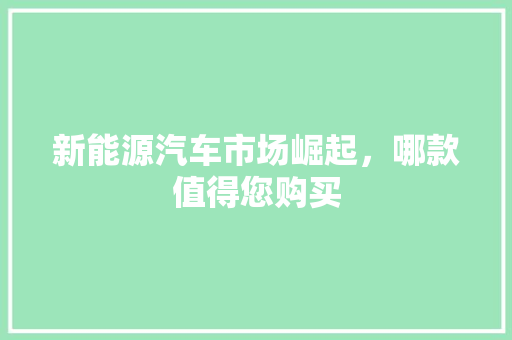 新能源汽车市场崛起，哪款值得您购买 汽车常识