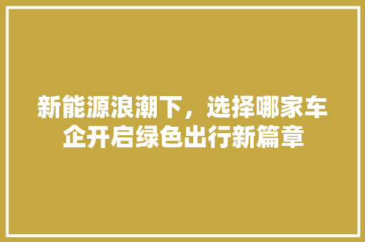 新能源浪潮下，选择哪家车企开启绿色出行新篇章 汽车常识