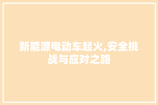 新能源电动车起火,安全挑战与应对之路 汽车常识