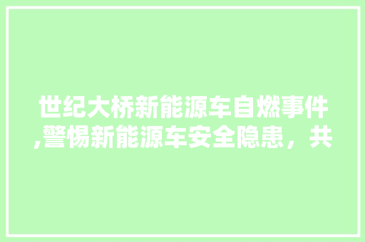 世纪大桥新能源车自燃事件,警惕新能源车安全隐患，共筑绿色出行安全防线 教育法律