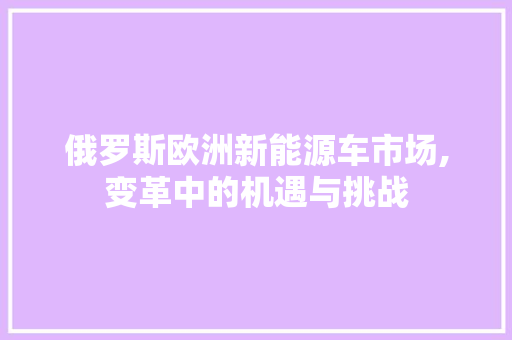 俄罗斯欧洲新能源车市场,变革中的机遇与挑战 旅游攻略