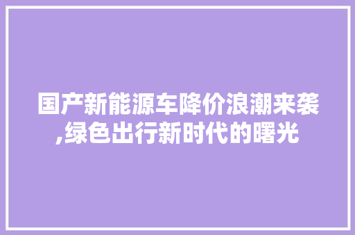 国产新能源车降价浪潮来袭,绿色出行新时代的曙光 旅游攻略