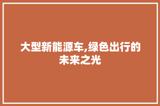 大型新能源车,绿色出行的未来之光 教育法律