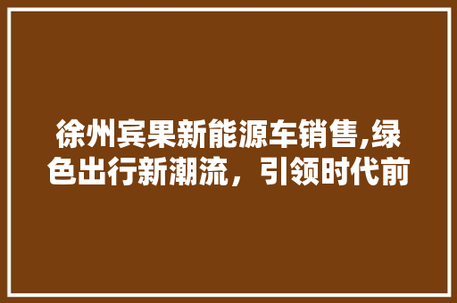 徐州宾果新能源车销售,绿色出行新潮流，引领时代前行 美食菜谱