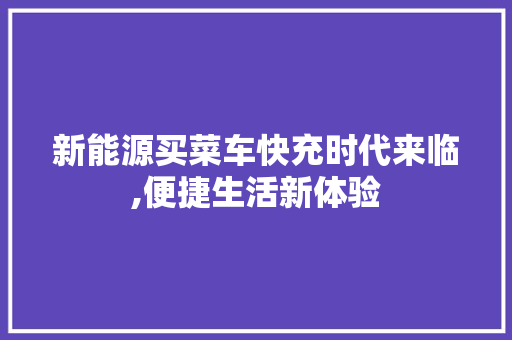 新能源买菜车快充时代来临,便捷生活新体验 时尚穿搭