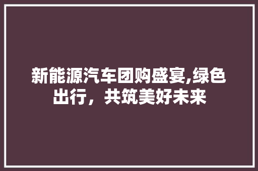 新能源汽车团购盛宴,绿色出行，共筑美好未来 时尚穿搭