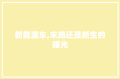 新能源车,末路还是新生的曙光 旅游攻略