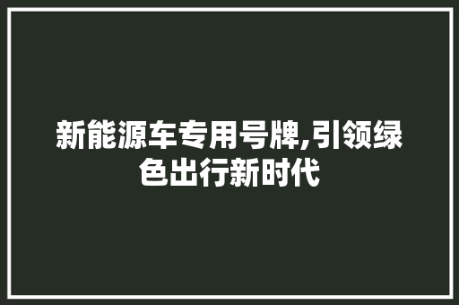 新能源车专用号牌,引领绿色出行新时代 旅游攻略