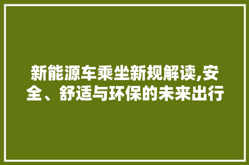 新能源车乘坐新规解读,安全、舒适与环保的未来出行 时尚穿搭