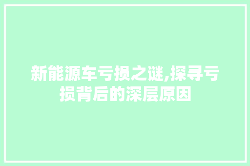 新能源车亏损之谜,探寻亏损背后的深层原因 时尚穿搭