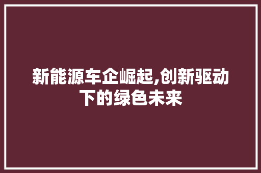 新能源车企崛起,创新驱动下的绿色未来 教育法律
