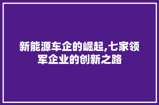 新能源车企的崛起,七家领军企业的创新之路 旅游攻略