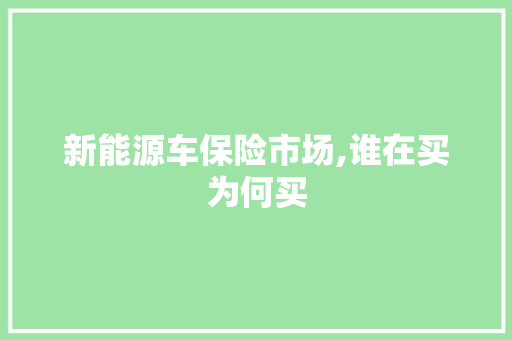 新能源车保险市场,谁在买为何买