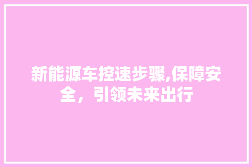 新能源车控速步骤,保障安全，引领未来出行 旅游攻略
