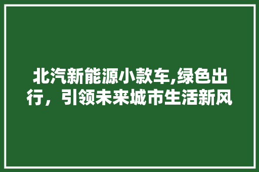 北汽新能源小款车,绿色出行，引领未来城市生活新风尚 汽车常识